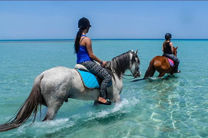 Hurghada: 2 Hours Camel and Horse Riding Adventure on The Sea. - Pickup Information