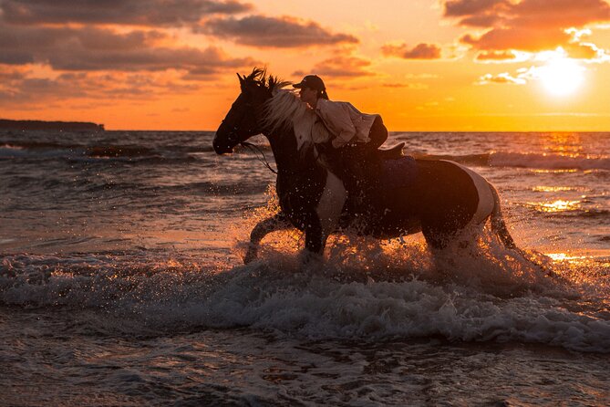 Hurghada: 2 Hours Camel and Horse Riding Adventure on The Sea. - Customer Feedback