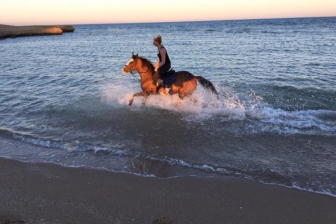 Hurghada: 2 Hours Camel and Horse Riding Adventure on The Sea. - Positive Experiences