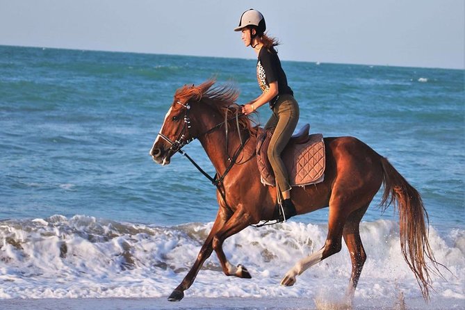 Hurghada: 2 Hours Camel and Horse Riding Adventure on The Sea. - Negative Experiences