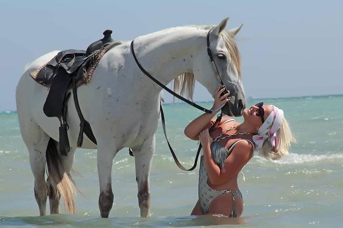 Hurghada: 2 Hours Camel and Horse Riding Adventure on The Sea. - Recommendations