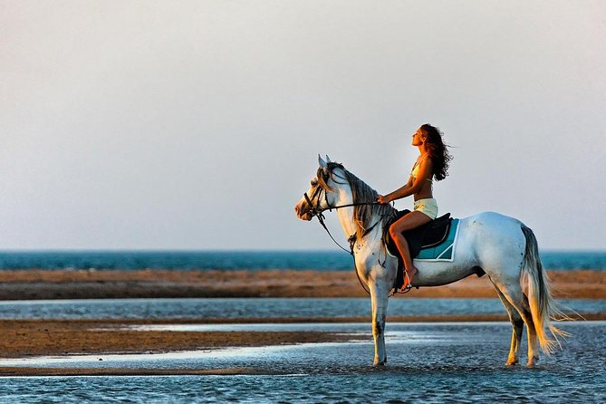 Hurghada: 2 Hours Camel and Horse Riding Adventure on The Sea. - Considerations
