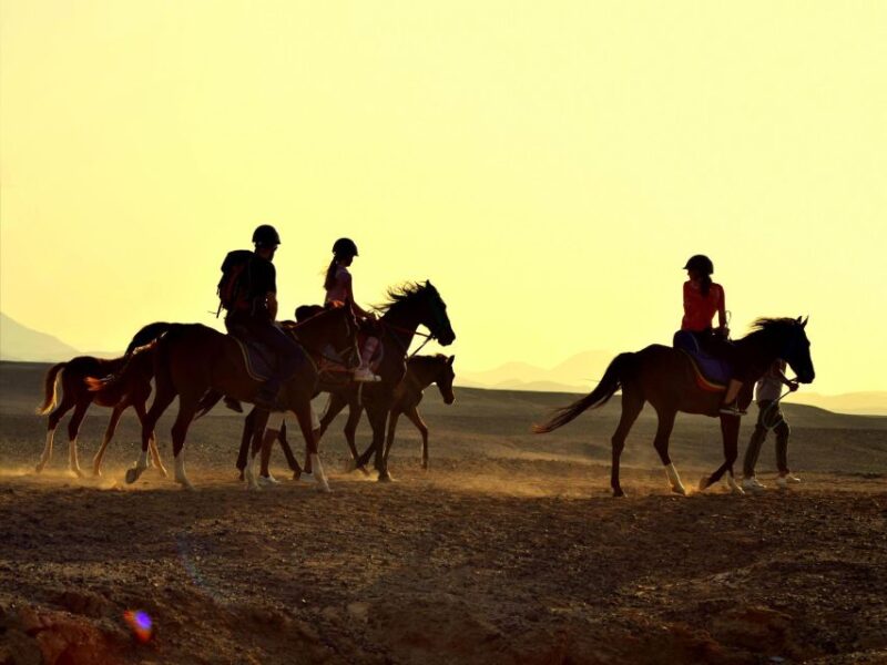 Hurghada: 4 Days Tour Horse, Camel, Spa, ATV, Jeep & Dolphin - Key Points