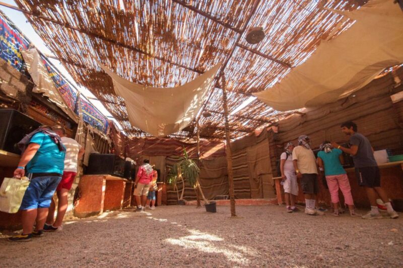 Hurghada: 5-Hour Quad Bike Desert Safari and Barbecue - Customer Reviews and Ratings