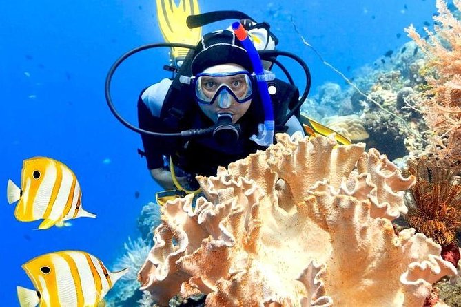 Hurghada: 6-Hour Dive Trip With Two Dive Sites - Inclusions and Amenities