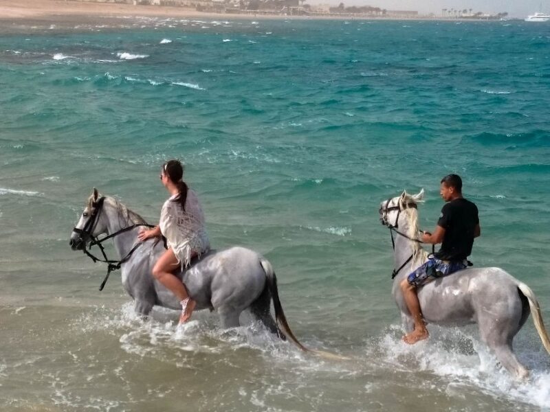 Hurghada: Arabian Desert and Sea Horseback Adventure - Customer Reviews and Feedback