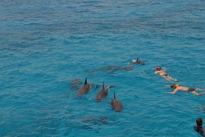 Hurghada Boat Trip to See Dolphins With Snorkeling and Lunch - Dolphin Watching Experience