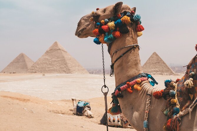 Hurghada: Cairo and Giza Highlights by Mini Van With BBQ Lunch - Inclusions