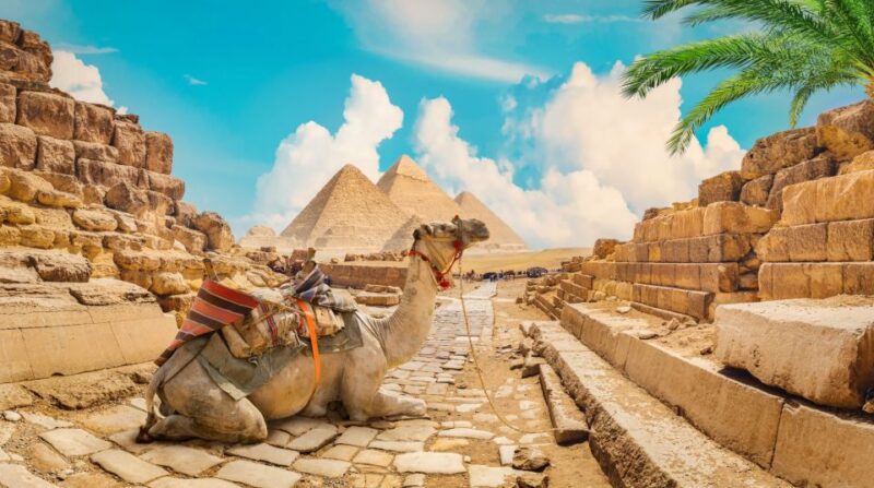 Hurghada: Cairo and Giza Highlights Tour With BBQ Lunch - Inclusions