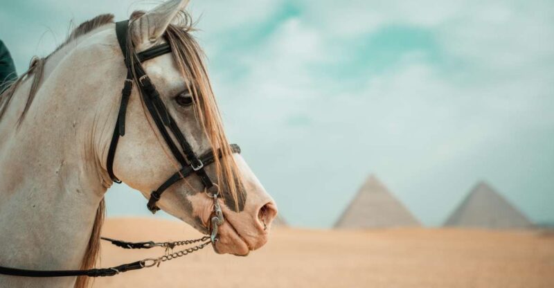 Hurghada: Cairo Day Trip With Horse Ride Along Giza Pyramids - Suitability and Recommendations