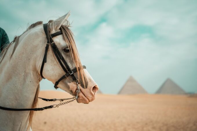 Hurghada: Cairo Day Trip With Horse Ride Along Giza Pyramids - Frequently Asked Questions