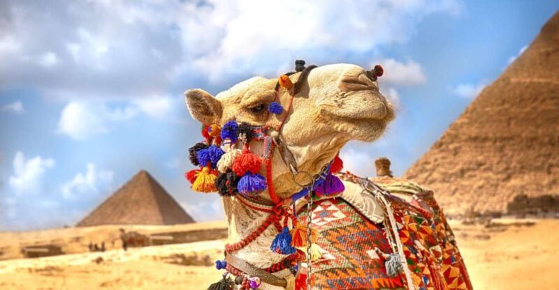 Hurghada: Camel Ride Along Pyramids of Giza & Cairo Museum - Itinerary Highlights