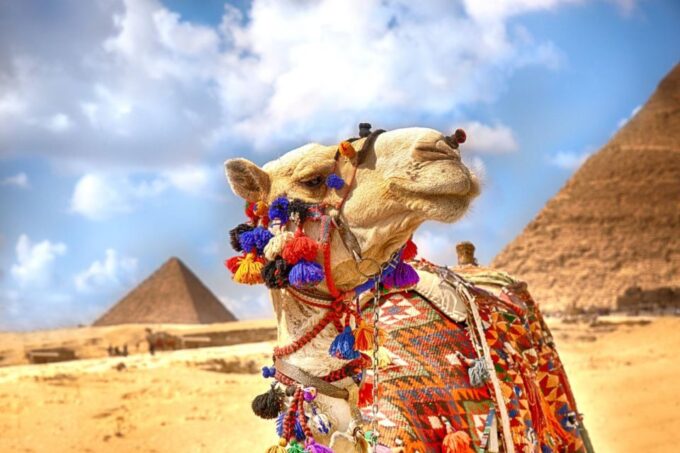 Hurghada: Camel Ride Along Pyramids of Giza & Cairo Museum - Frequently Asked Questions