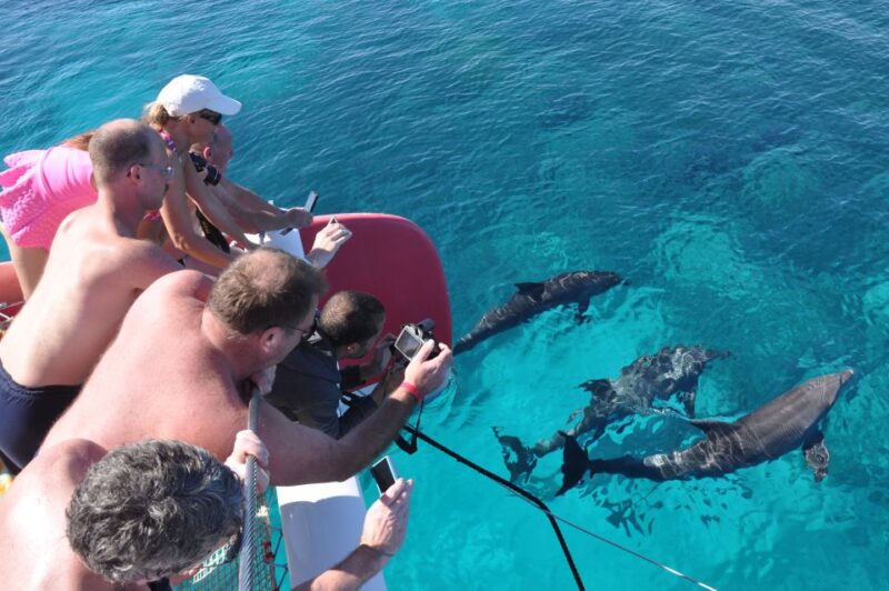 Hurghada: Catamaran Sailing Cruise With Snorkeling and Lunch - Itinerary and Experience