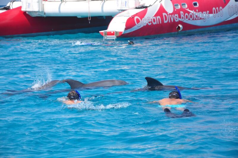 Hurghada: Catamaran Sailing Cruise With Snorkeling and Lunch - Highlights and Activities