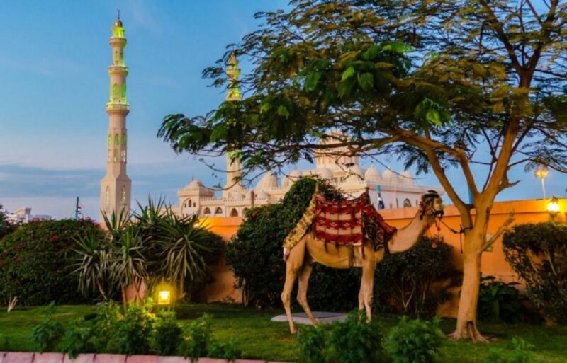 Hurghada: City Tour and Parasailing Adventure With Lunch - Customer Reviews