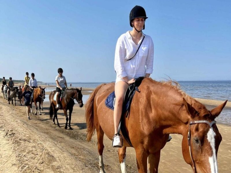 Hurghada: Desert and Sea Horseback Riding Tour With Transfer - Customer Ratings
