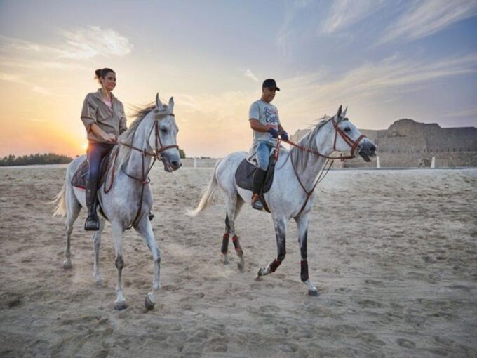 Hurghada: Desert and Sea Horseback Riding Tour With Transfer - Transportation and Pickup