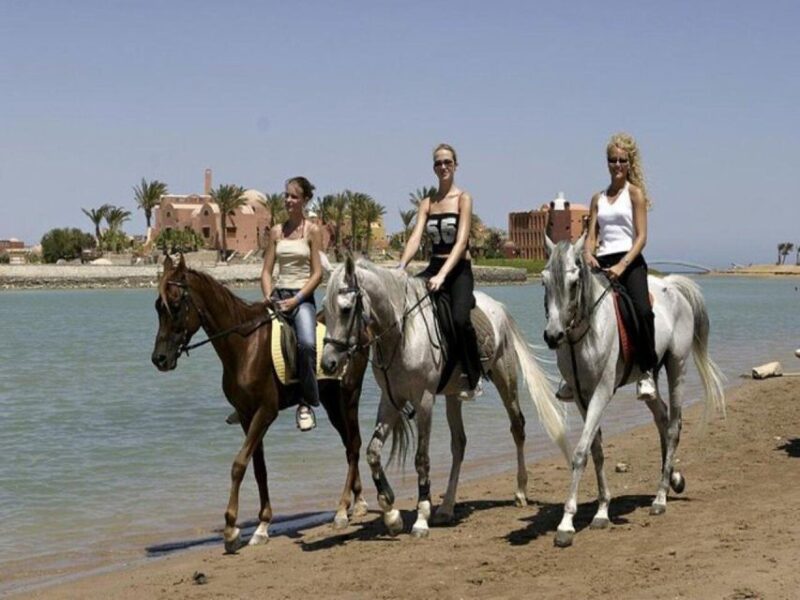 Hurghada: Desert and Sea Horseback Riding Tour With Transfer - Duration and Pricing
