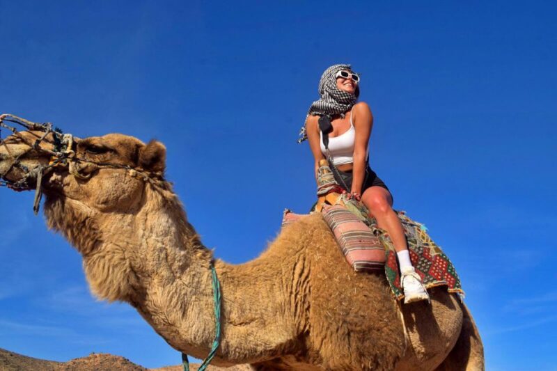 Hurghada: Desert Quad, Bedouin Village, and Camel Ride Tour - Languages and Accessibility