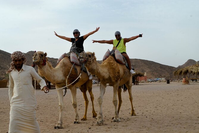 Hurghada Desert Safari on Quad Bikes With Camel for 3 Hours - Confirmation and Logistics