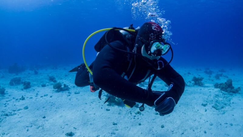 Hurghada: Diving and Snorkeling Tour With Transfers - Key Points