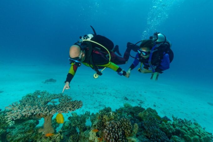 Hurghada: Diving and Snorkeling Tour With Transfers - Frequently Asked Questions