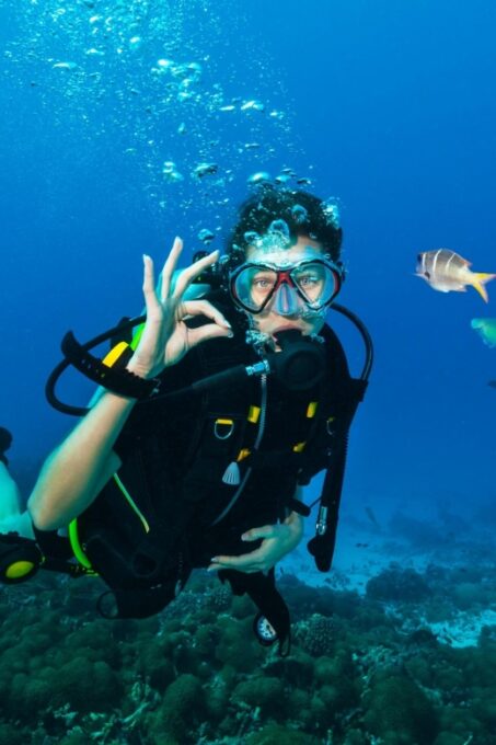 Hurghada: Diving and Snorkeling Tour With Transfers - Tour Highlights