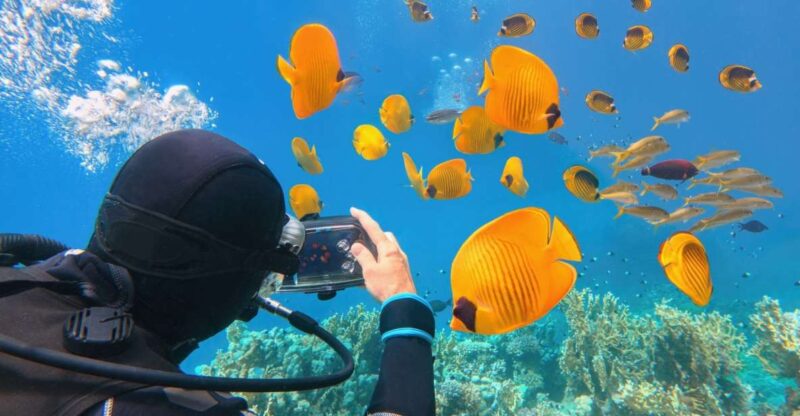 Hurghada: Diving & Snorkeling Cruise Tour W Lunch & Drinks - Activity Highlights