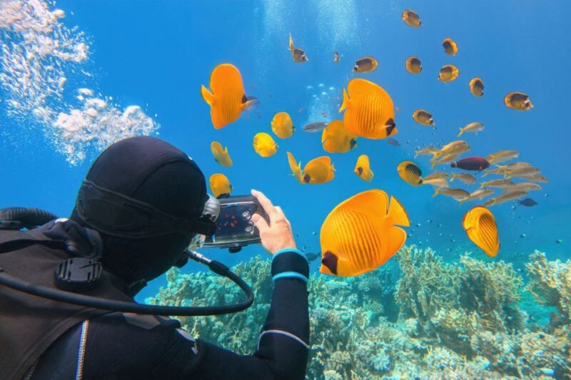 Hurghada: Diving & Snorkeling Cruise Tour W Lunch & Drinks - Itinerary Details