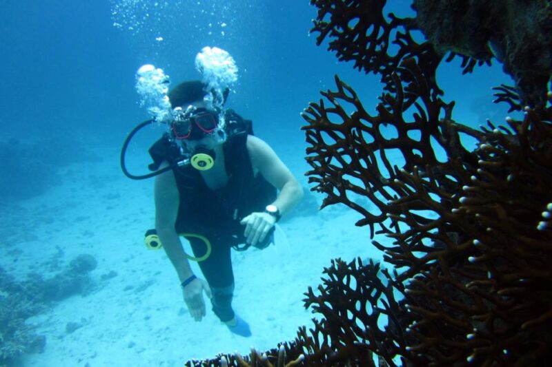Hurghada: Diving & Snorkeling Cruise Tour W Lunch & Drinks - Participant Restrictions