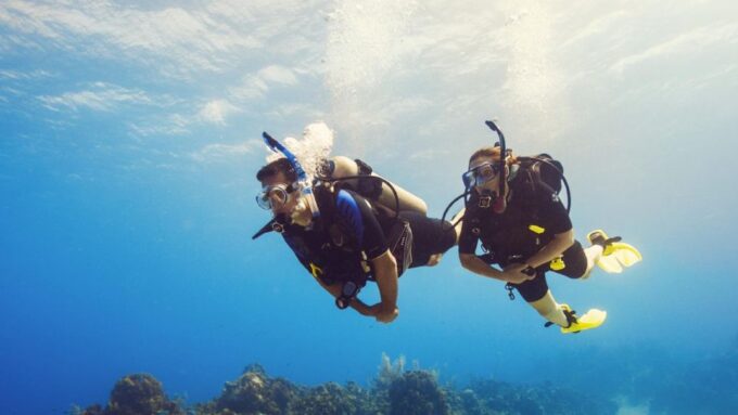 Hurghada: Diving & Snorkeling Cruise Tour W Lunch & Drinks - Pricing and Availability