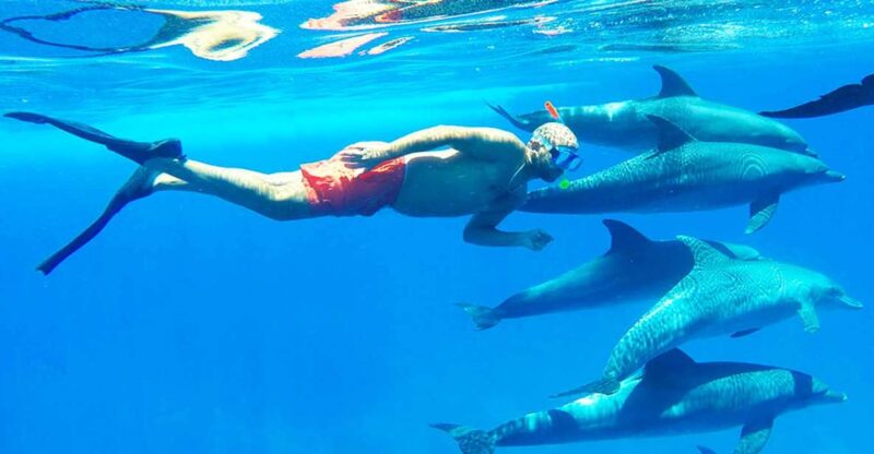 Hurghada: Dolphin Cruise & Snorkeling With City Tour & Lunch - Highlights and Experiences
