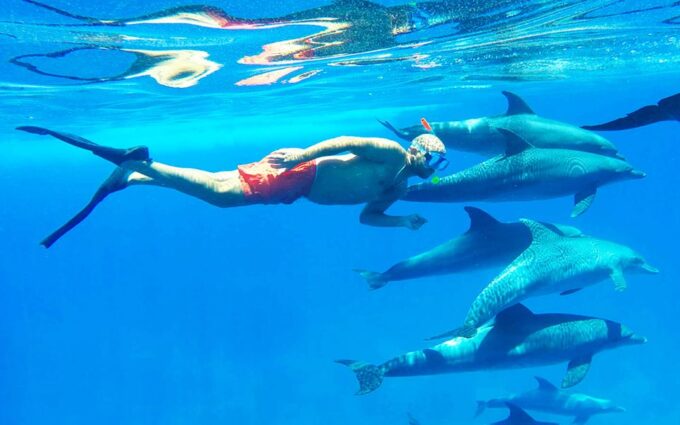 Hurghada: Dolphin Cruise & Snorkeling With City Tour & Lunch - Age Restrictions