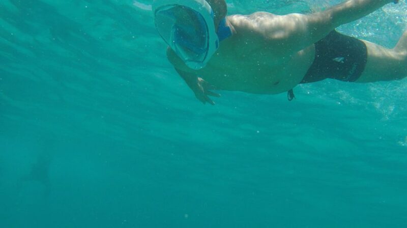 Hurghada: Dolphin House Discovery Cruise, Snorkeling & Lunch - Relaxation and Sundeck