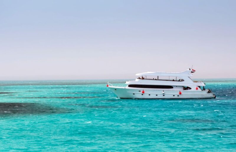 Hurghada: Dolphin Watching Boat Tour With Snorkeling & Lunch - Itinerary Details