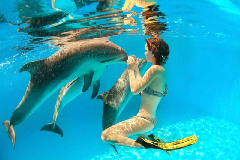 Hurghada: Dolphin Watching Boat Tour With Snorkeling & Lunch - Lunch and Beverages