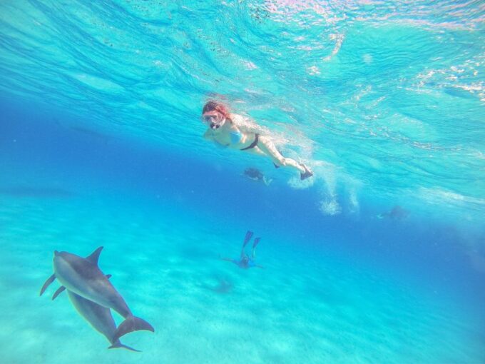 Hurghada: Dolphin Watching Boat Tour With Snorkeling & Lunch - Frequently Asked Questions