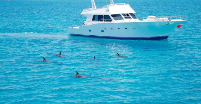 Hurghada: Dolphin Watching Private Yacht & Island Tour - Pickup and Transfer