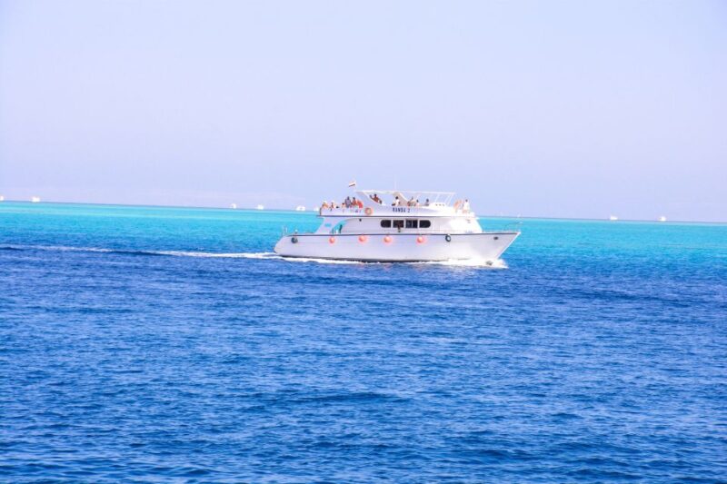 Hurghada: Dolphin Watching & Snorkeling W/ Private Transfer - Customer Reviews and Ratings
