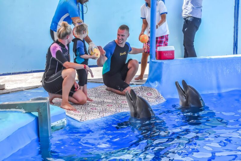 Hurghada: Dolphin World Family Swimming With Pickup - Key Points
