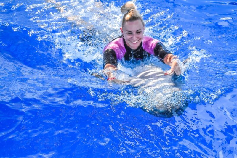 Hurghada: Dolphin World Family Swimming With Pickup - Pricing and Booking