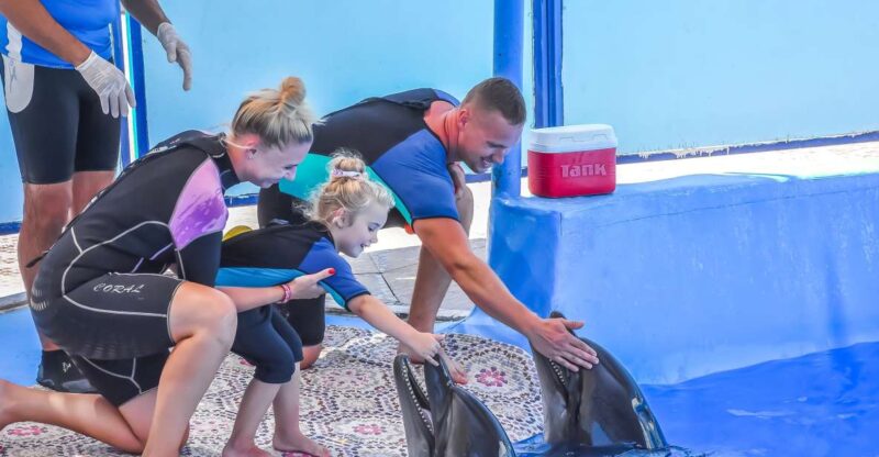 Hurghada: Dolphin World Family Swimming With Pickup - Inclusions and Amenities