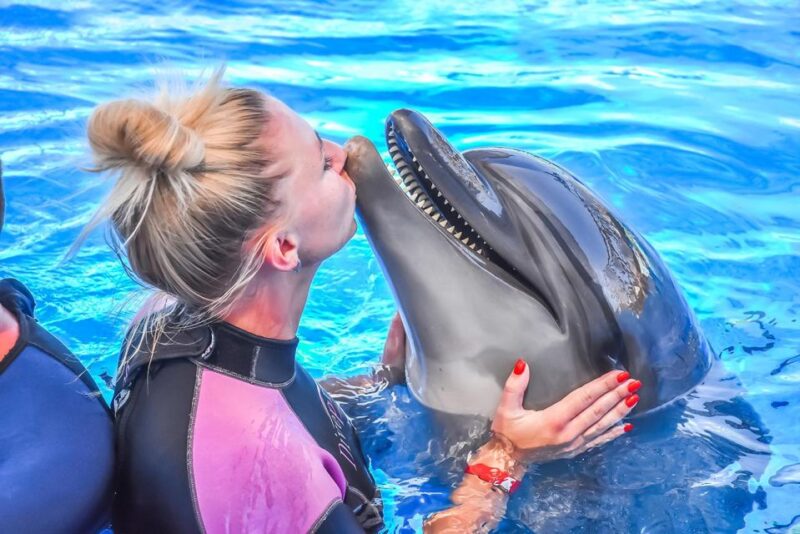 Hurghada: Dolphin World Family Swimming With Pickup - Customer Reviews