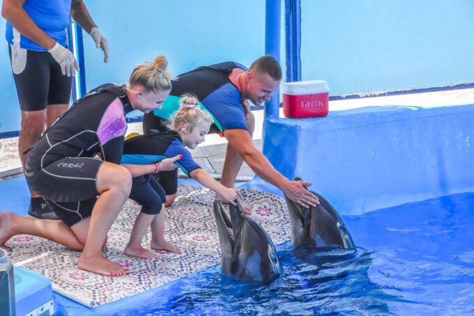 Hurghada: Dolphin World Family Swimming With Pickup - Scheduling and Duration