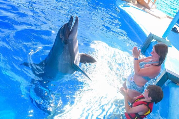 Hurghada: Dolphin World Family Swimming With Pickup - Group Size and Exclusivity