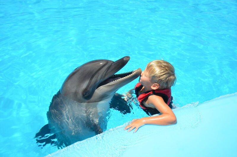Hurghada: Dolphin World Photo Session With Hotel Transfers - Key Points
