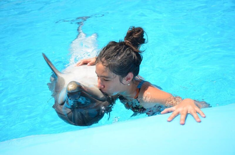 Hurghada: Dolphin World Photo Session With Hotel Transfers - Included Services