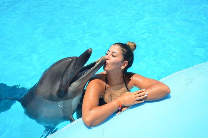 Hurghada: Dolphin World Photo Session With Hotel Transfers - Things to Bring