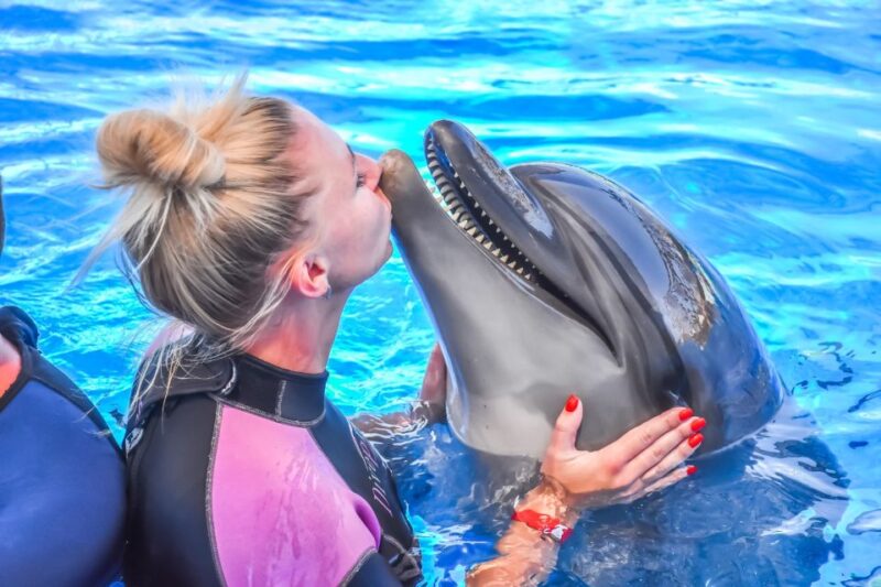 Hurghada: Dolphin World Private Swimming With Pickup - Important Information
